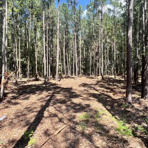 Photo #3 of Lot 1 Elm, Belhaven, NC 0.3 acres
