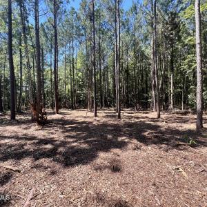 Photo #4 of Lot 1 Elm, Belhaven, NC 0.3 acres