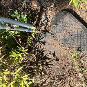 Photo #6 of Lot 1 Elm, Belhaven, NC 0.3 acres