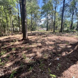 Photo #8 of Lot 1 Elm, Belhaven, NC 0.3 acres