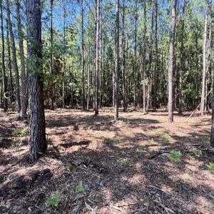 Photo #4 of Lot 2 Elm, Belhaven, NC 0.3 acres