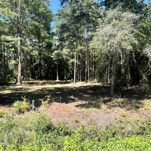 Photo #3 of Lot 2 Elm, Belhaven, NC 0.3 acres