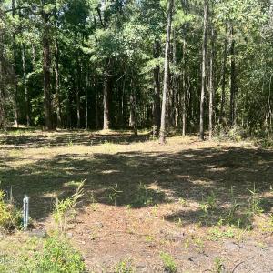 Photo #2 of Lot 3 Elm, Belhaven, NC 0.2 acres