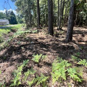 Photo #5 of Lot 3 Elm, Belhaven, NC 0.2 acres
