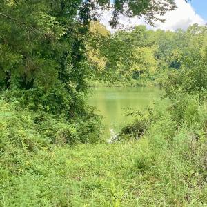 Photo #3 of 846 Harriett, Pollocksville, NC 5.1 acres