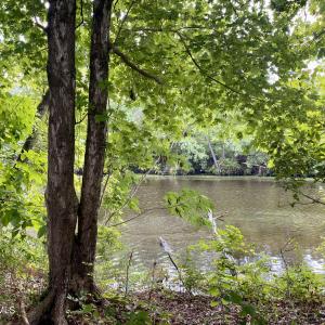 Photo #6 of 846 Harriett, Pollocksville, NC 5.1 acres