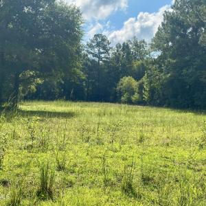 Photo #4 of 846 Harriett, Pollocksville, NC 5.1 acres