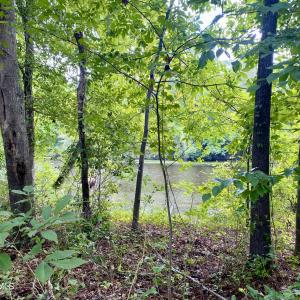 Photo #5 of 846 Harriett, Pollocksville, NC 5.1 acres