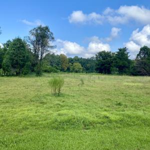 Photo #2 of 846 Harriett, Pollocksville, NC 5.1 acres