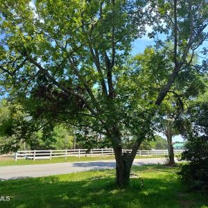 Photo #1 of 152 Clay Hill, Sneads Ferry, NC 1.3 acres