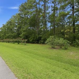 Photo #8 of 102 Cummins Creek, Beaufort, NC 11.5 acres