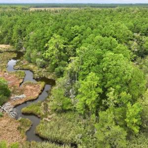 Photo #7 of 102 Cummins Creek, Beaufort, NC 11.5 acres