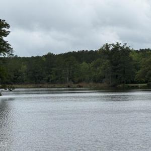Photo #1 of Stillwater, Belhaven, NC 1.4 acres