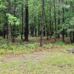 Photo #3 of Stillwater, Belhaven, NC 1.4 acres