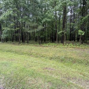 Photo #7 of Stillwater, Belhaven, NC 1.4 acres