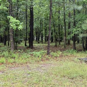 Photo #6 of Stillwater, Belhaven, NC 1.4 acres
