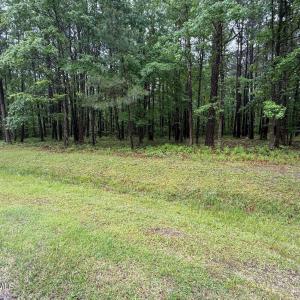 Photo #2 of Stillwater, Belhaven, NC 1.4 acres
