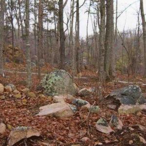 Photo #3 of 75002 Miller, Chapel Hill, NC 0.5 acres
