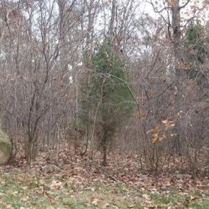 Photo #2 of 75002 Miller, Chapel Hill, NC 0.5 acres