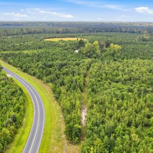 Photo #18 of 795 Pollard Swamp, Vanceboro, NC 214.8 acres