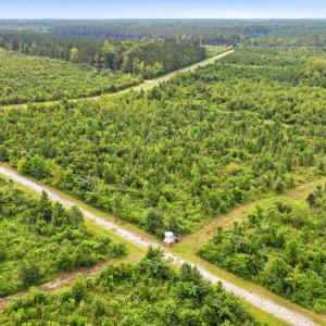 Photo #16 of 795 Pollard Swamp, Vanceboro, NC 214.8 acres