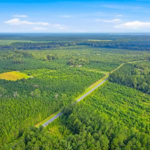 Photo #2 of 795 Pollard Swamp, Vanceboro, NC 214.8 acres