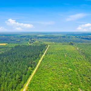 Photo #6 of 795 Pollard Swamp, Vanceboro, NC 214.8 acres