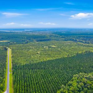 Photo #20 of 795 Pollard Swamp, Vanceboro, NC 214.8 acres
