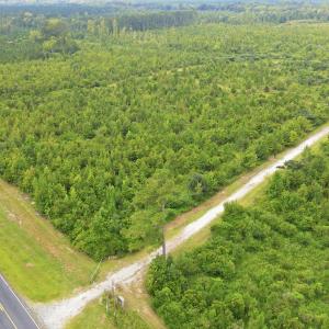Photo #17 of 795 Pollard Swamp, Vanceboro, NC 214.8 acres