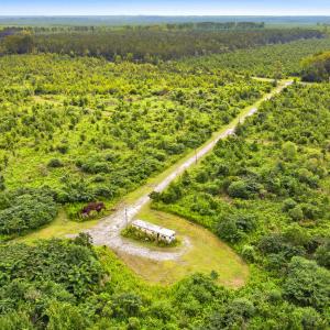 Photo #14 of 795 Pollard Swamp, Vanceboro, NC 214.8 acres