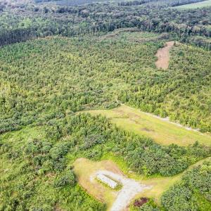 Photo #25 of 795 Pollard Swamp, Vanceboro, NC 214.8 acres