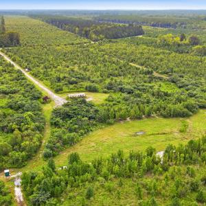 Photo #13 of 795 Pollard Swamp, Vanceboro, NC 214.8 acres