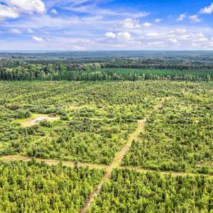Photo #24 of 795 Pollard Swamp, Vanceboro, NC 214.8 acres