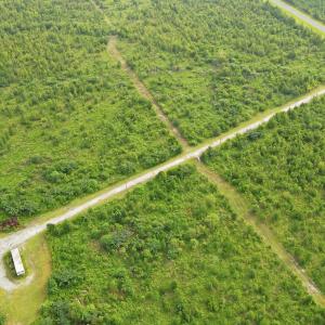 Photo #5 of 795 Pollard Swamp, Vanceboro, NC 214.8 acres