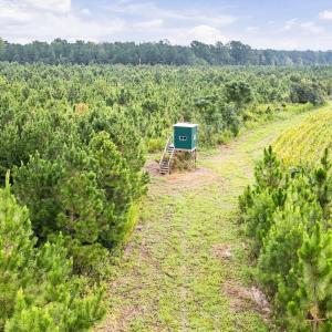 Photo #29 of 795 Pollard Swamp, Vanceboro, NC 214.8 acres