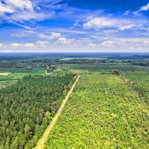 Photo #26 of 795 Pollard Swamp, Vanceboro, NC 214.8 acres