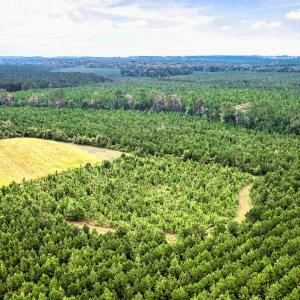 Photo #27 of 795 Pollard Swamp, Vanceboro, NC 214.8 acres
