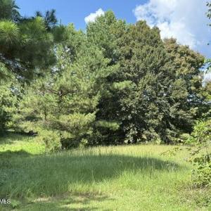 Photo #7 of 255 Bridge, Jacksonville, NC 5.8 acres