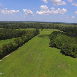 Photo #1 of Grimesland Bridge, Grimesland, NC 56.5 acres