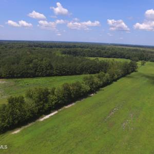 Photo #4 of Grimesland Bridge, Grimesland, NC 56.5 acres