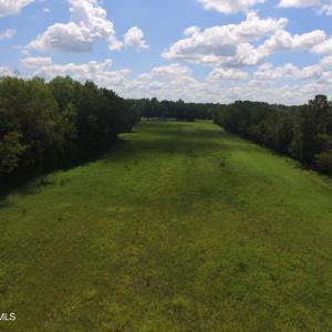 Photo #5 of Grimesland Bridge, Grimesland, NC 56.5 acres