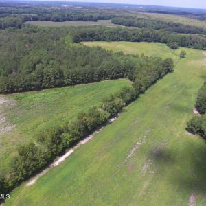 Photo #2 of Grimesland Bridge, Grimesland, NC 56.5 acres