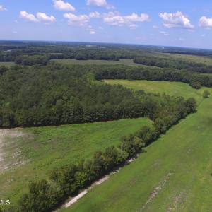 Photo #6 of Grimesland Bridge, Grimesland, NC 56.5 acres