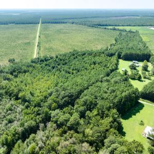 Photo #7 of Wisteria, Willard, NC 20.1 acres