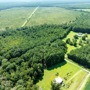 Photo #9 of Wisteria, Willard, NC 20.1 acres