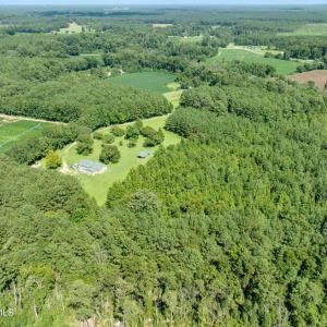 Photo #5 of Wisteria, Willard, NC 20.1 acres