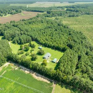 Photo #3 of Wisteria, Willard, NC 20.1 acres