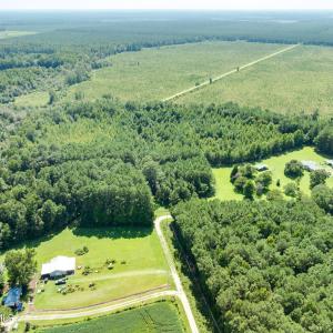 Photo #10 of Wisteria, Willard, NC 20.1 acres
