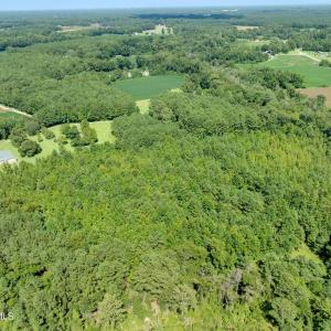 Photo #6 of Wisteria, Willard, NC 20.1 acres