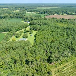 Photo #4 of Wisteria, Willard, NC 20.1 acres